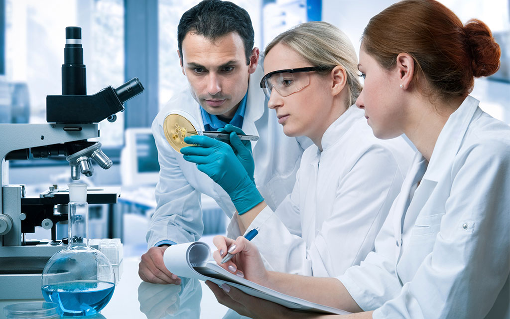 Quality you can Trust